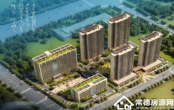 1608462954487679.jpg 1.JPG