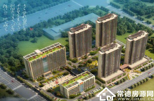 1609913954485963.jpg 1.JPG