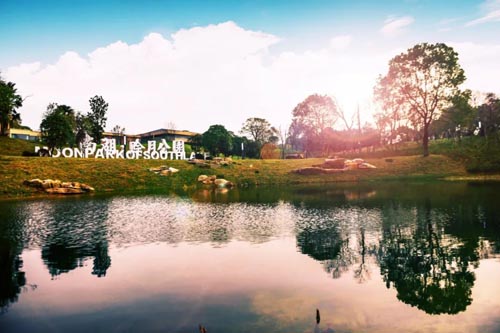 1668825537178493.jpg 1.jpg